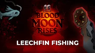 Leechfin Fishing - gdzie jesteśmy i co dalej